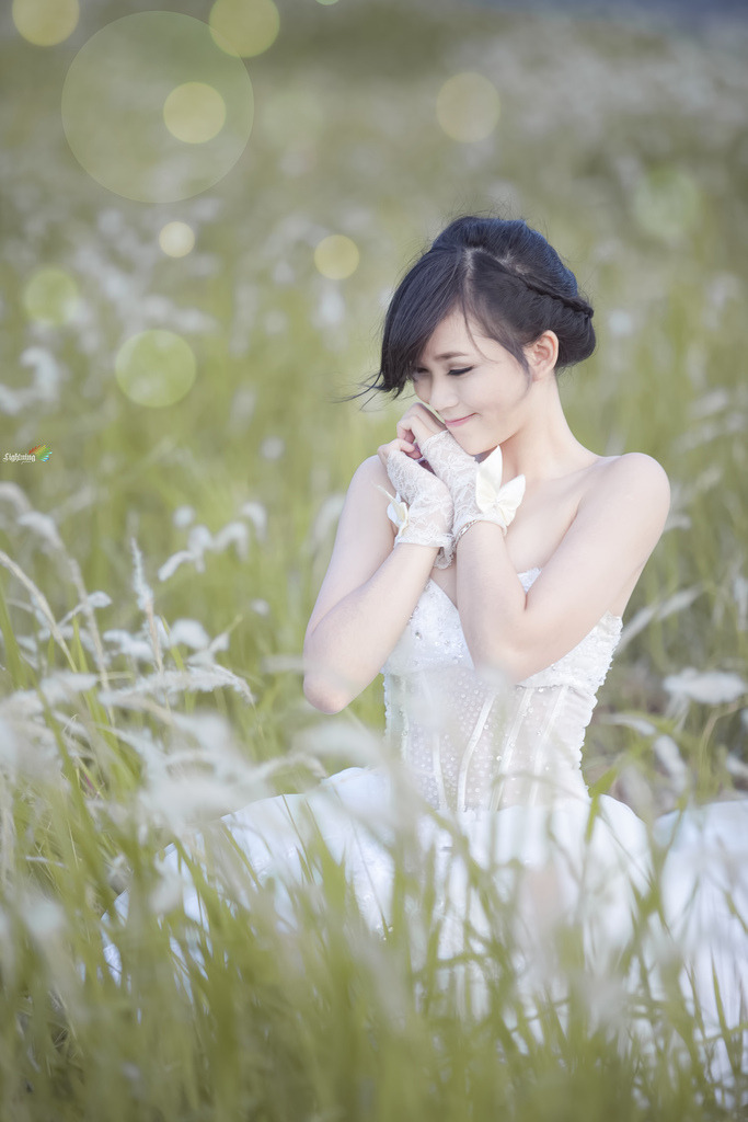 黑寡婦美國電影觀看
