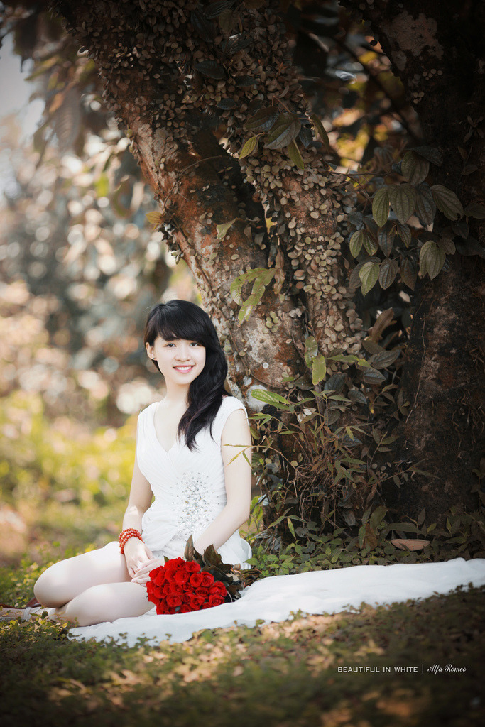 魔卡少女櫻動(dòng)漫