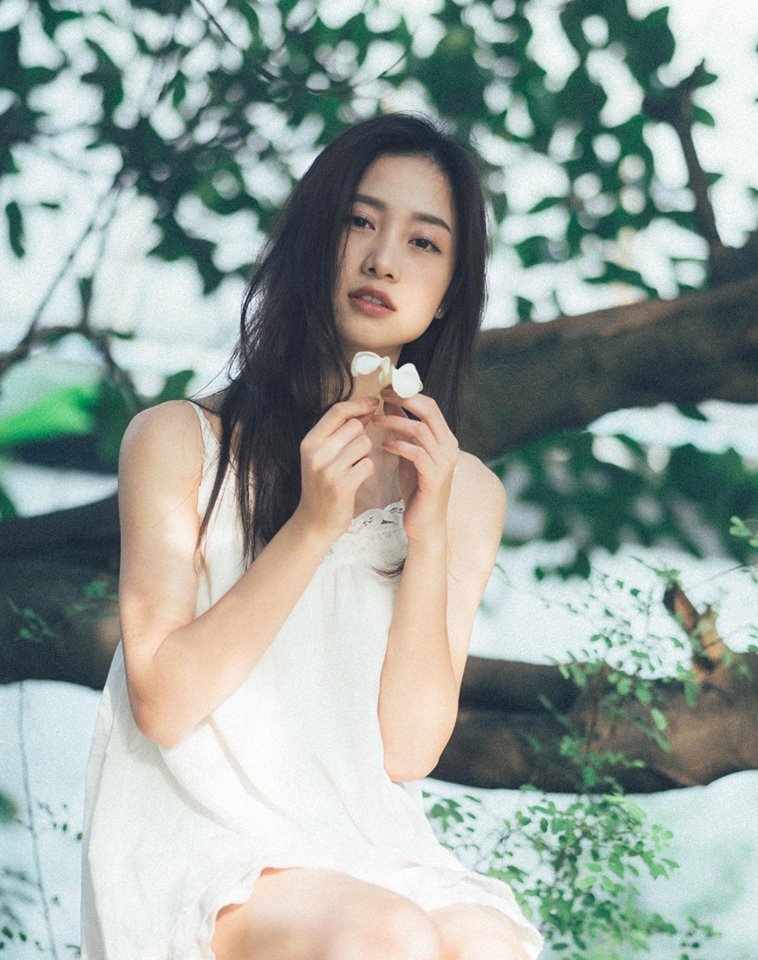 似水年華