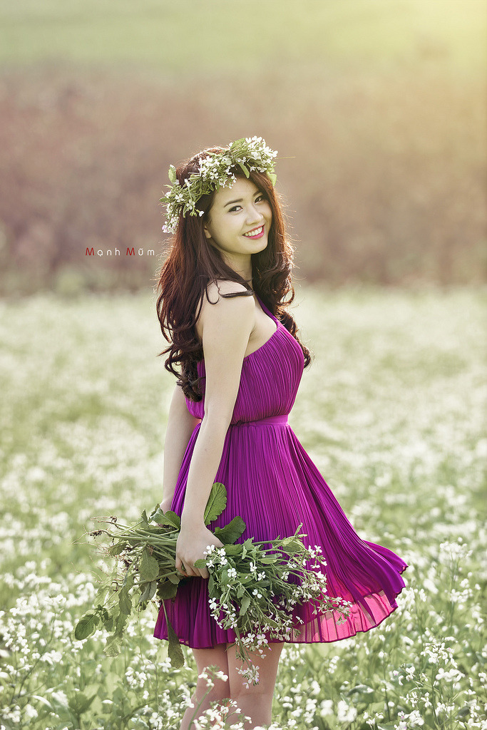 櫻花葉菜