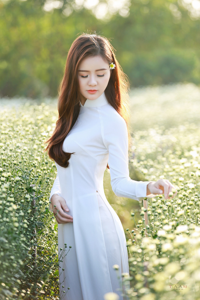 梅寶萊